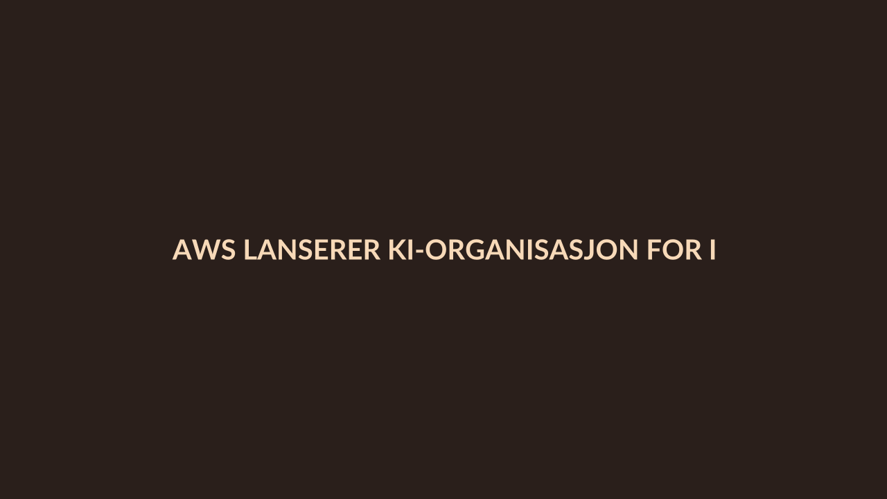 Person i en redaksjonell scene som passer temaet AWS lanserer KI-organisasjon for ingeniører med 1 milliard dollar