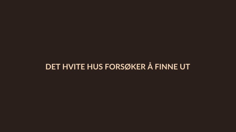 Person i en redaksjonell scene som passer temaet Det Hvite Hus Forsøker å Finne Ut Hva de Skal Gjøre med Kinesisk KI