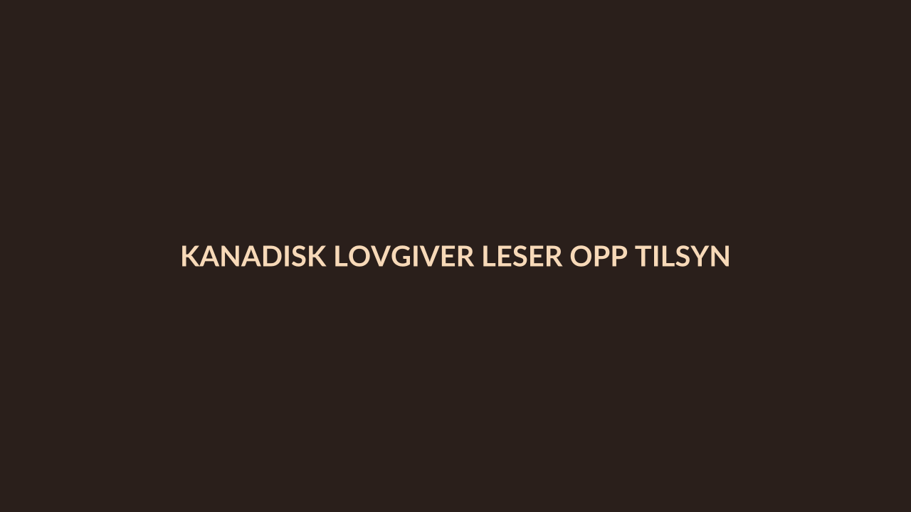 Person i en redaksjonell scene som passer temaet Kanadisk lovgiver leser opp tilsynelatende LLM-respons i taletid
