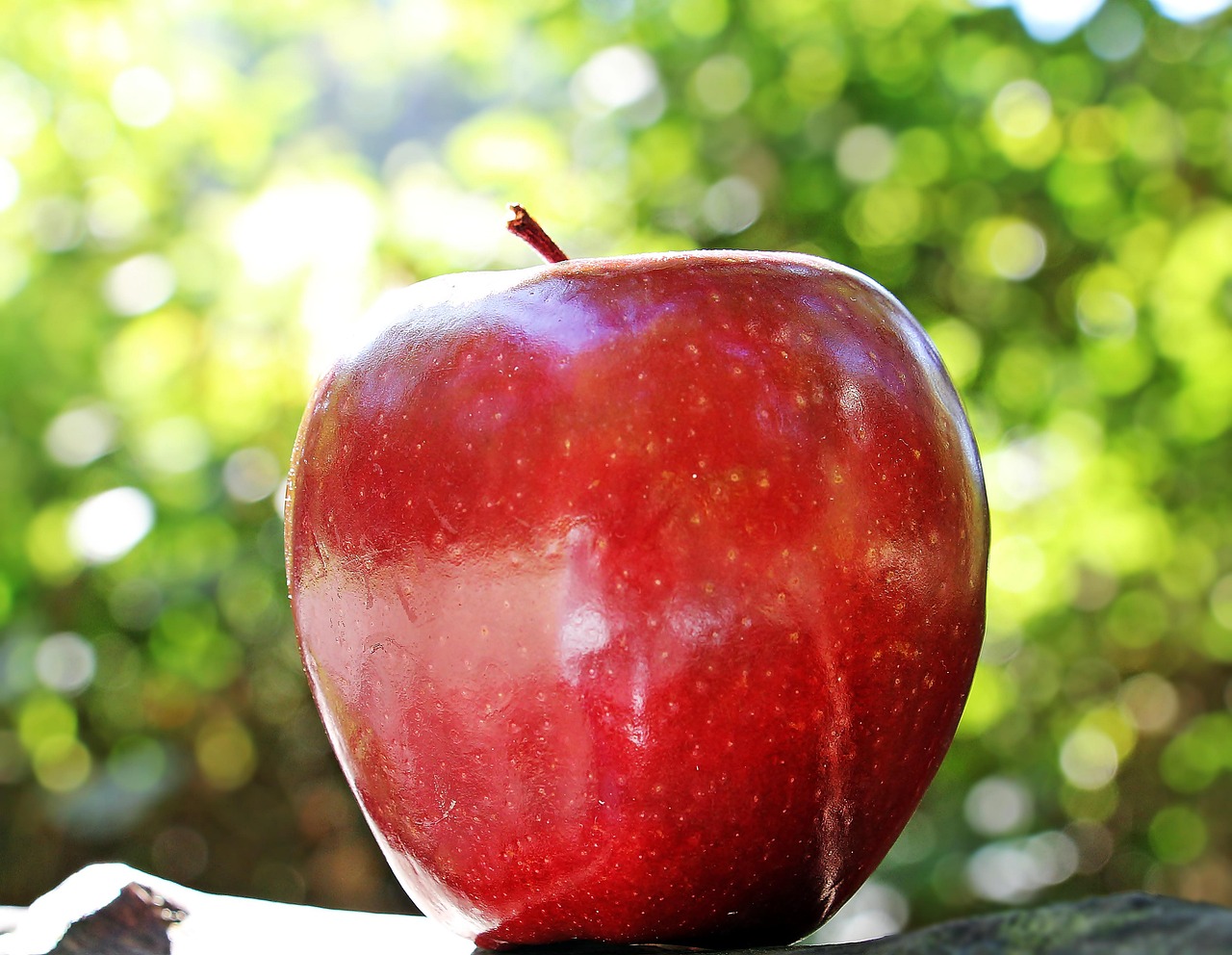 apple, red, fruit, red chief, red apple, fresh apple, ripe, ripe apple, fresh, fresh fruit, harvest, produce, organic, healthy, food, close up, apple, app…